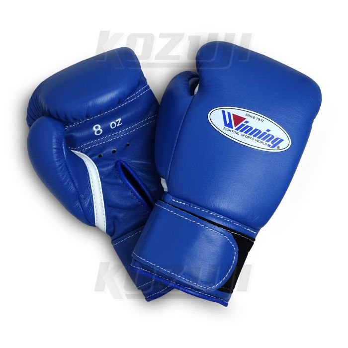 Blue - Winning Boxing Gloves